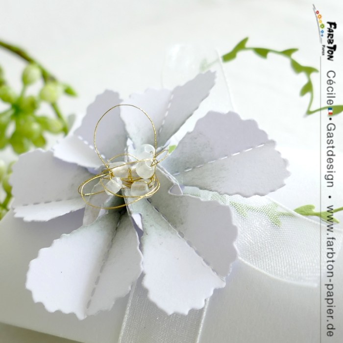 FarbtonP05 - P1330678