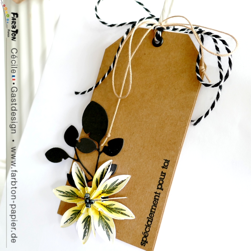 FarbtonP06 - P1330426