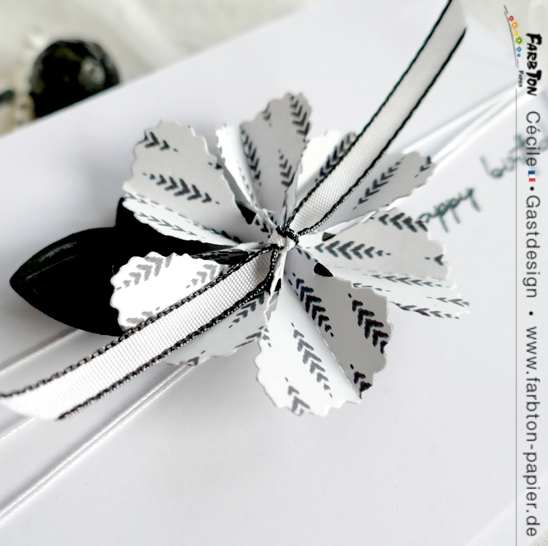 FarbtonP07 - P1330723