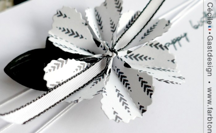 DT Farbton Papier : Carte d’anniversaire en noir et blanc.