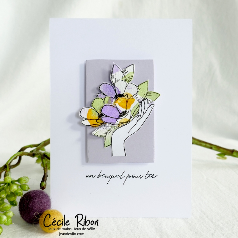 Carte CC&S473 - P1330915