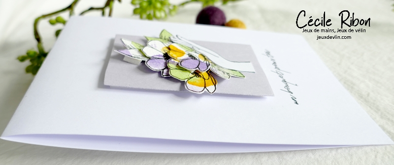 Carte CC&S473 - P1330917