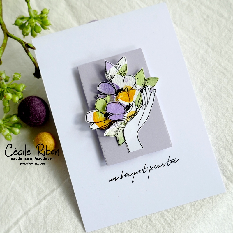 Carte CC&S473 - P1330921