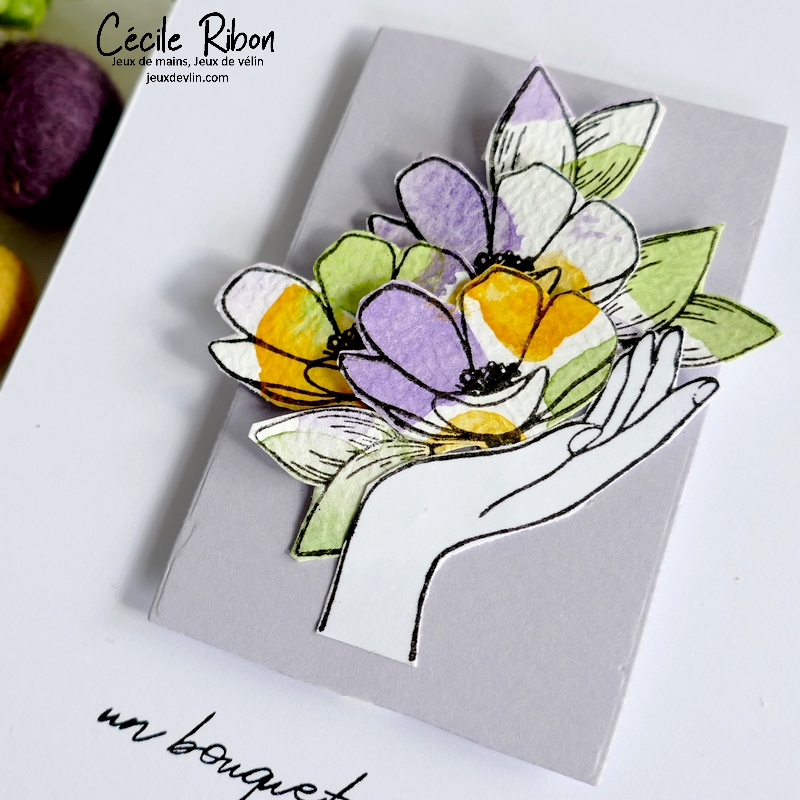 Carte CC&S473 - P1330926