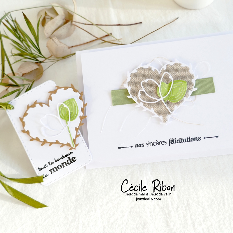 Carte CTD696 - P1340076