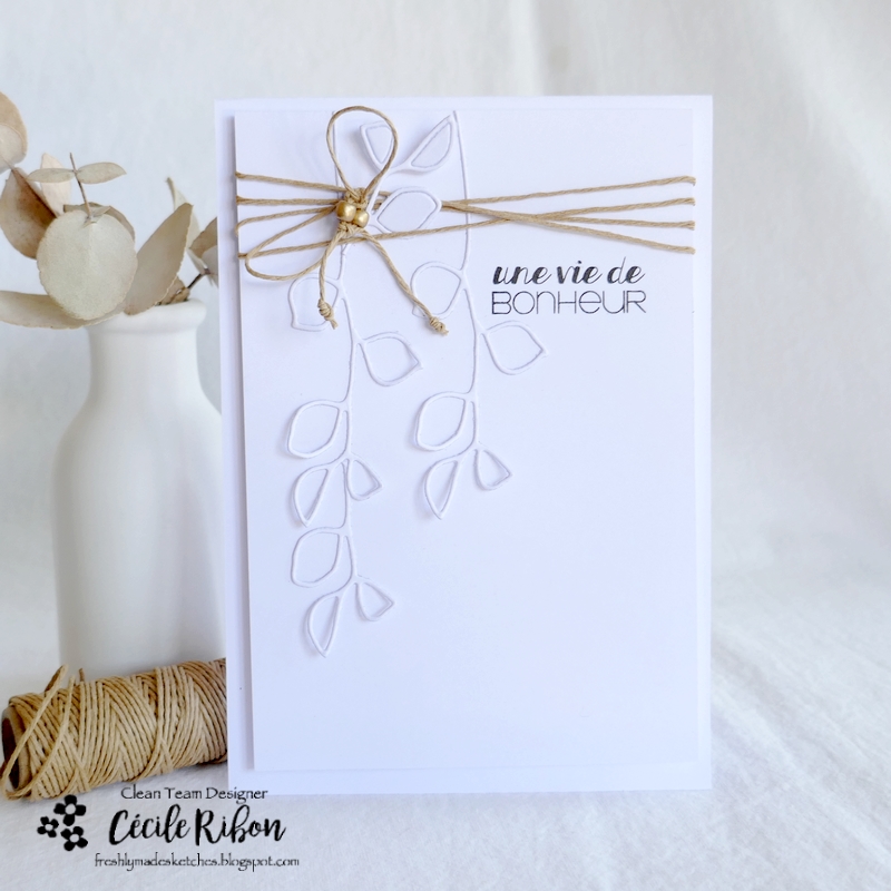 Carte FMS538 - P1330749