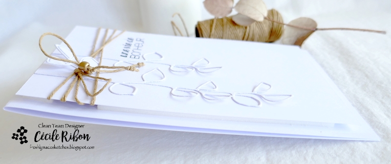 Carte FMS538 - P1330762