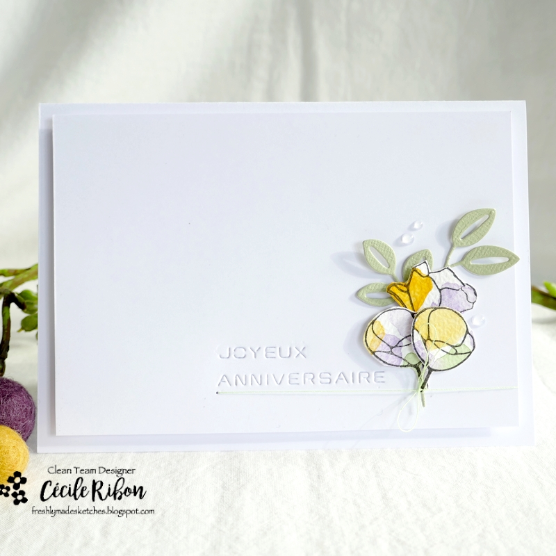 Carte FMS539 - P1330935