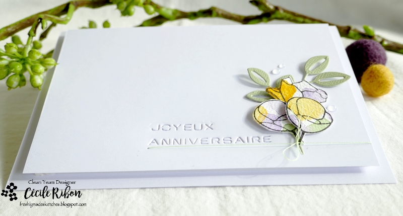 Carte FMS539 - P1330942