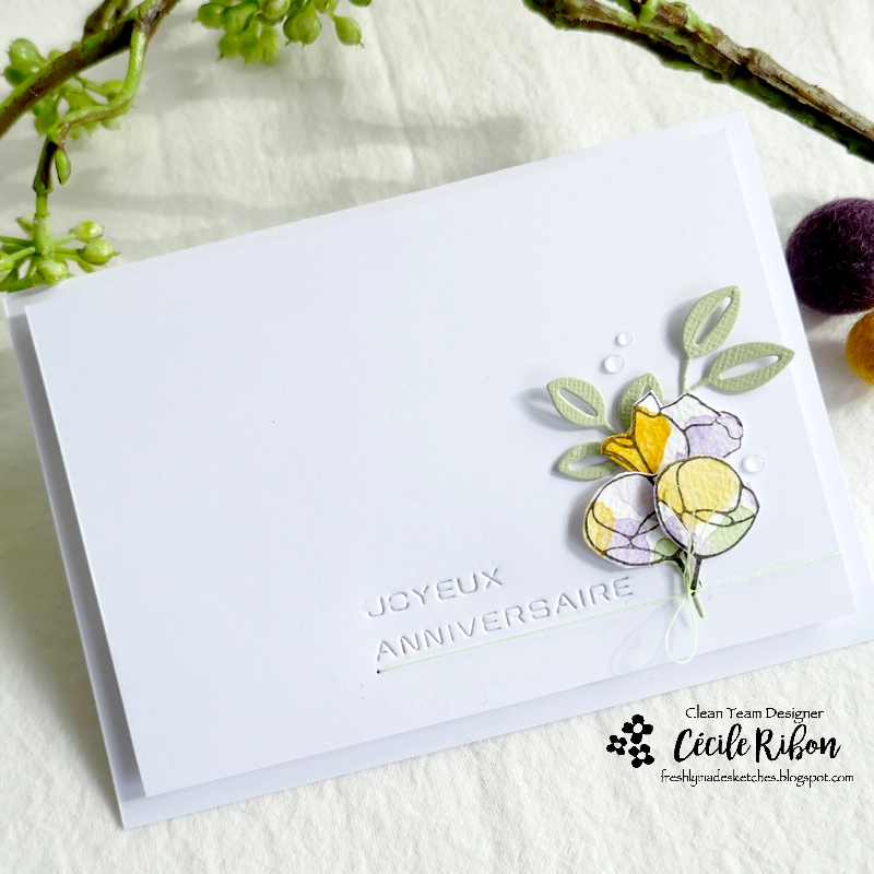 Carte FMS539 - P1330947