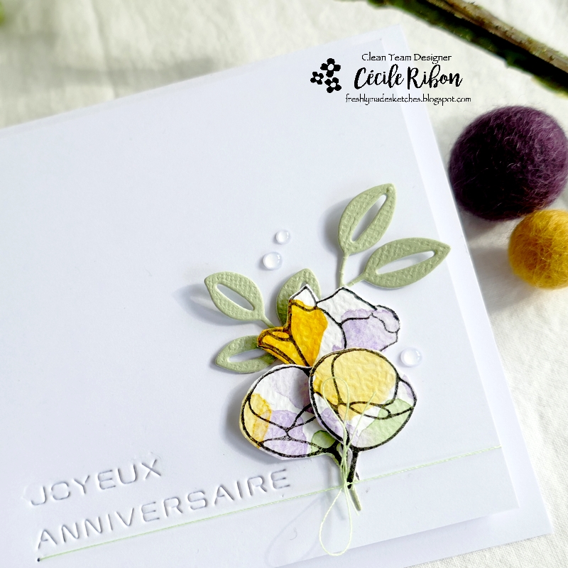 Carte FMS539 - P1330952