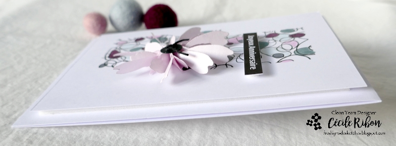 carte FMS540 - P1340133