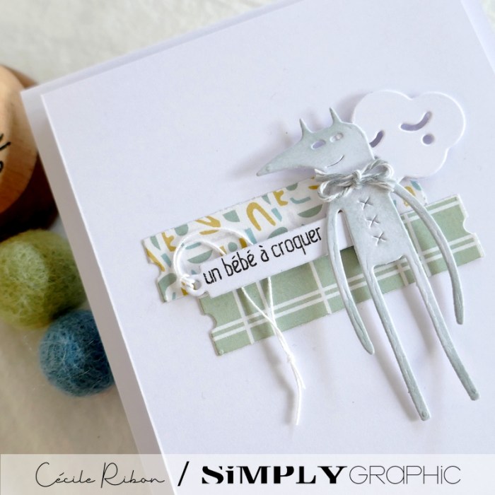 Carte SG13 - P1330831