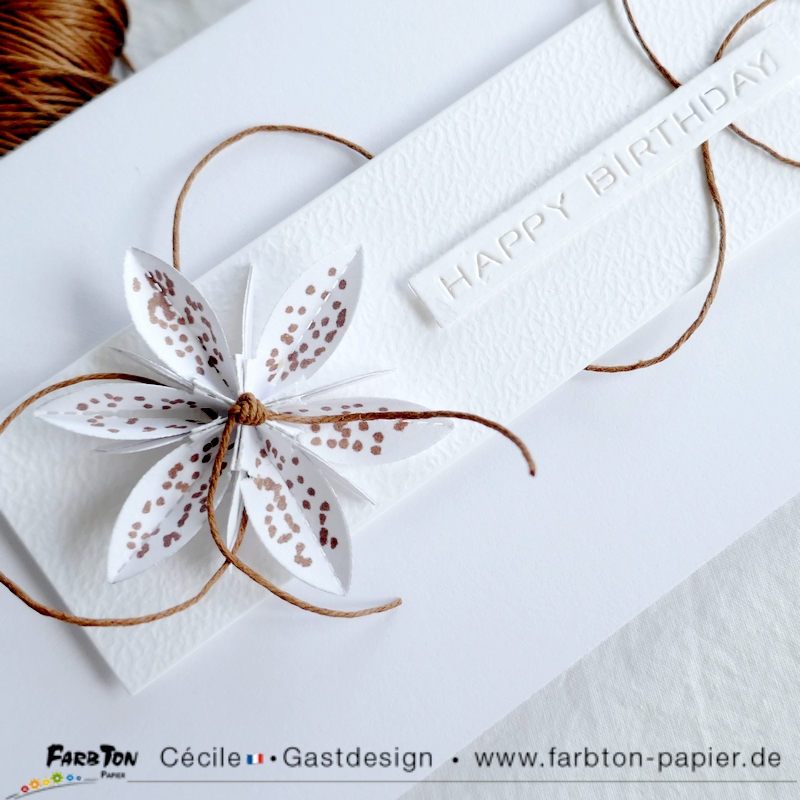 FarbtonP07 - P1330794