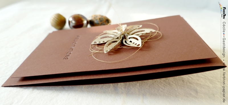 FarbtonP08 - P1330867