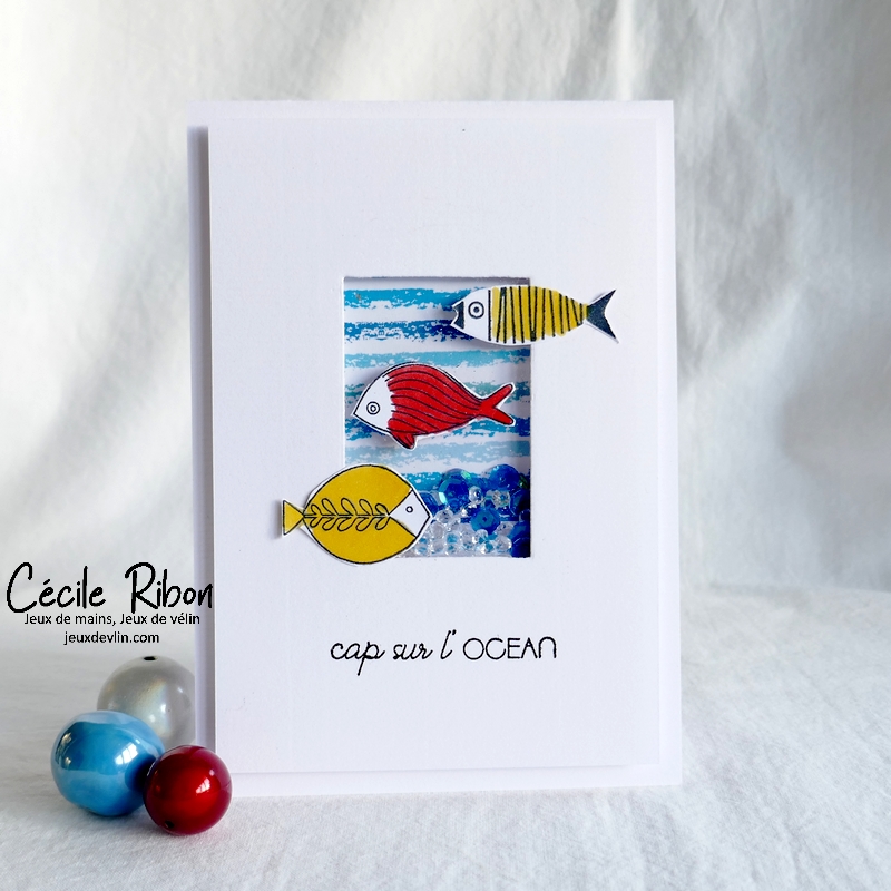 Carte CBBB-été2022S1 - P1340319