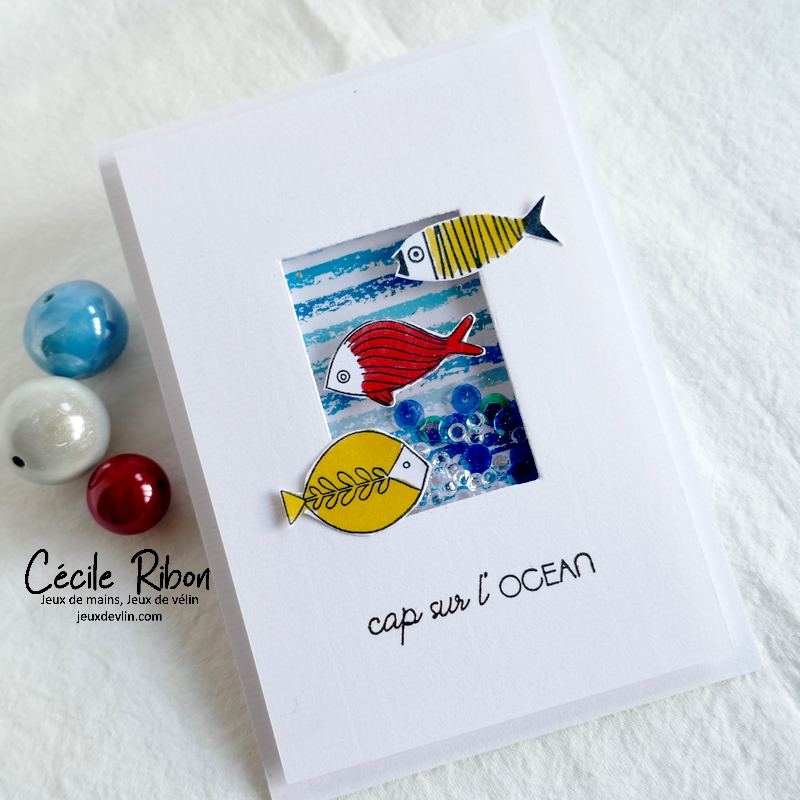 Carte CBBB-Eté2022S1 - P1340321