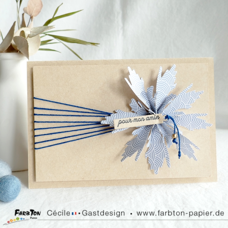 Carte CC&S480 - P1340808