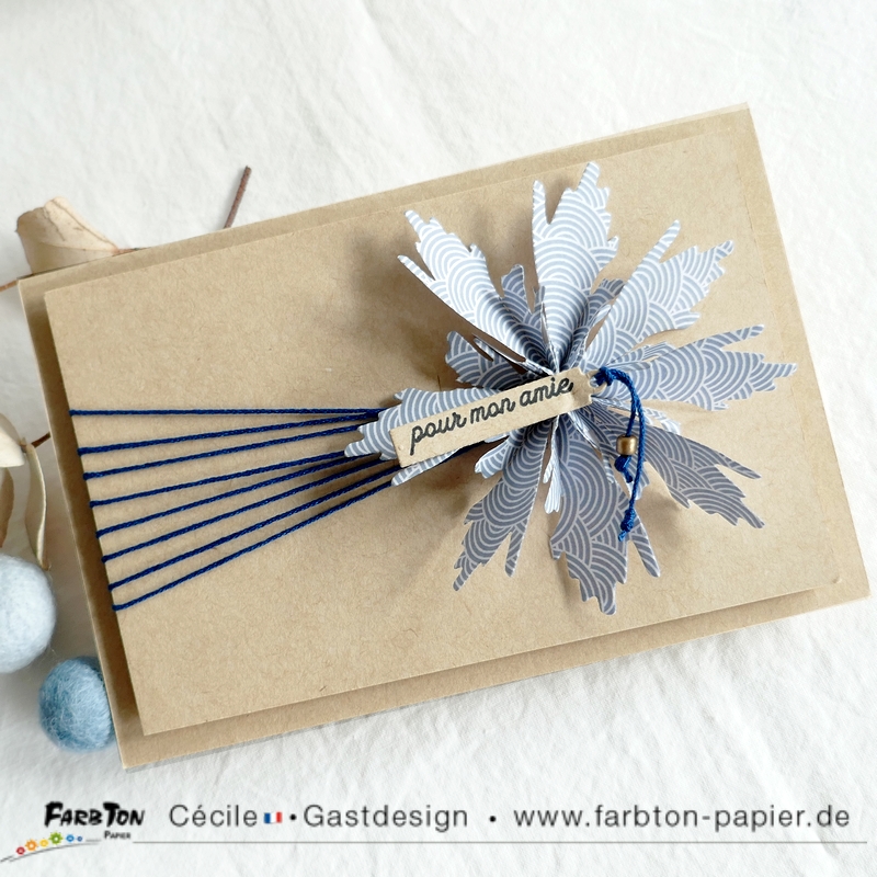 Carte CC&S480 - P1340812