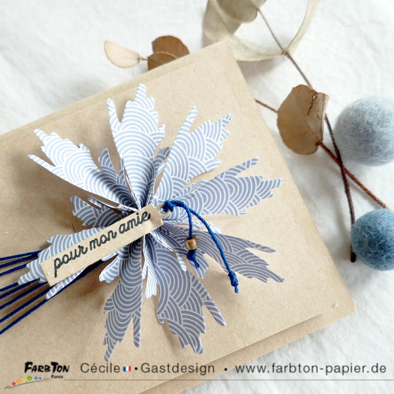 carte CC&S480 - P1340819