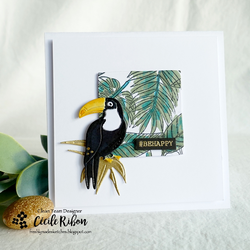 Carte FMS543 - P1340365