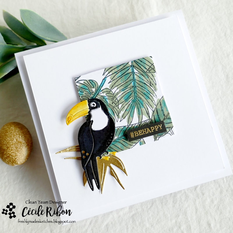 Carte FMS543 - P1340367