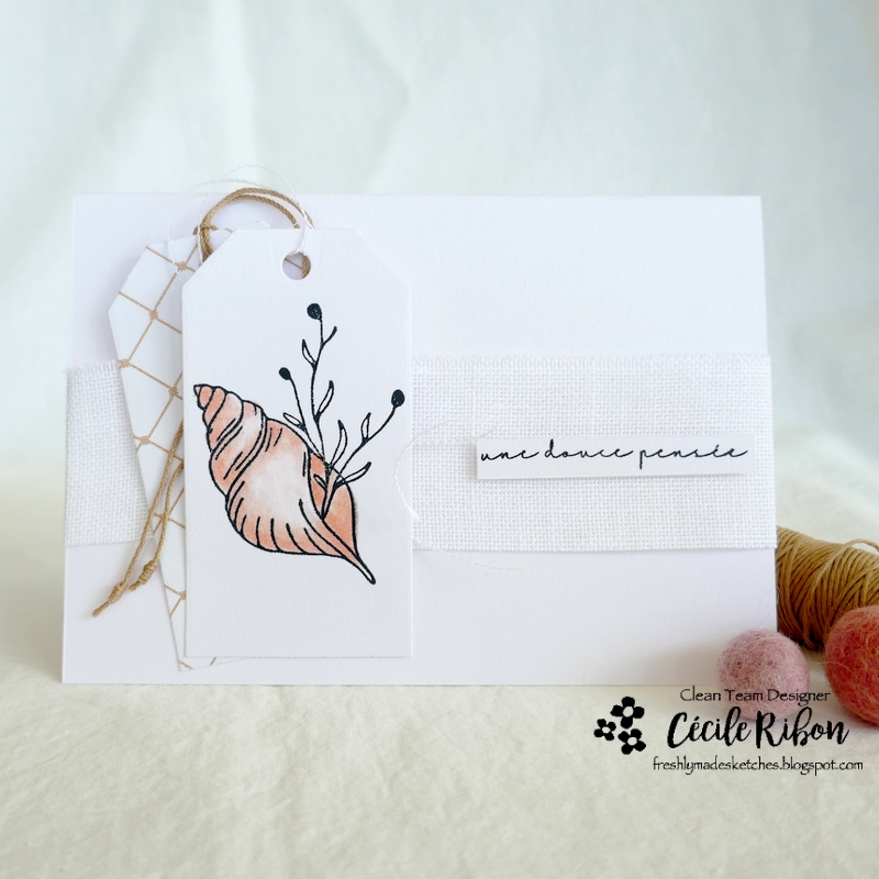 Carte FMS544 - P1340555