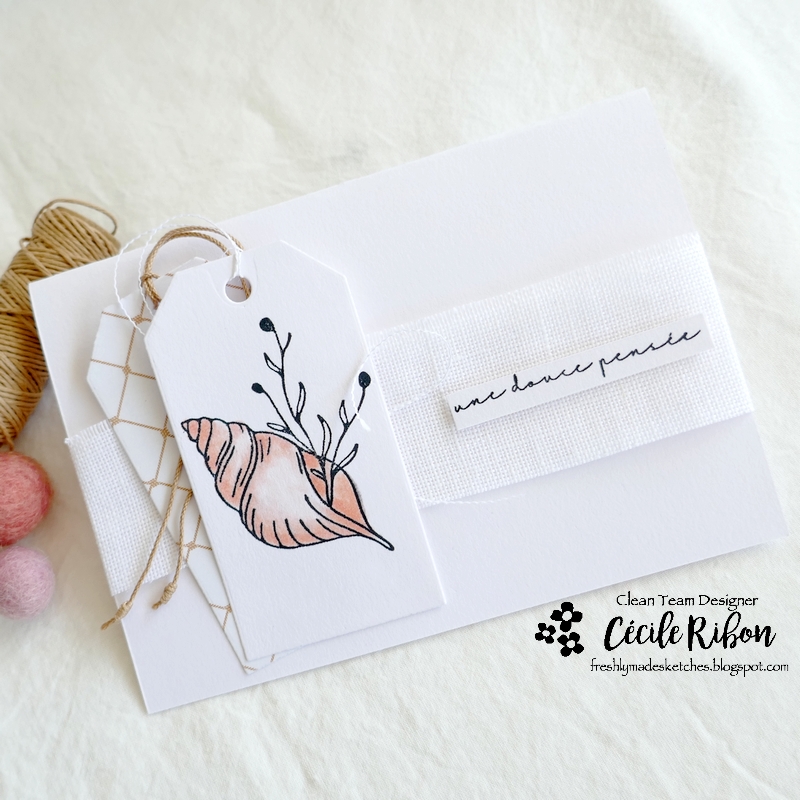 Carte FMS544 - P1340567