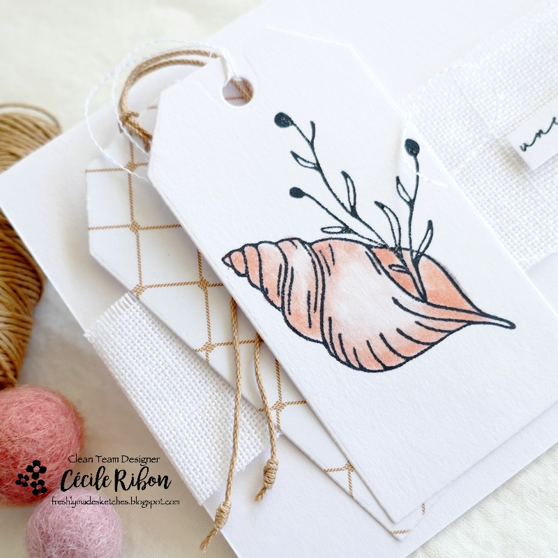 Carte FMS544 - P1340572