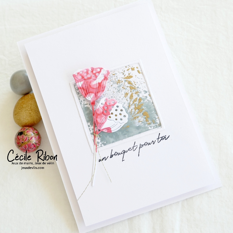 Carte JUGS641 - P1340625