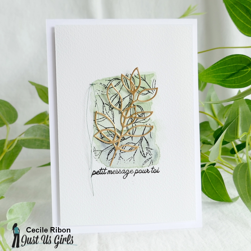 Carte JUGS642 - P1340761