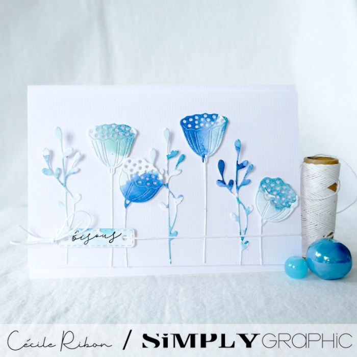 Carte SG14 - P1340253