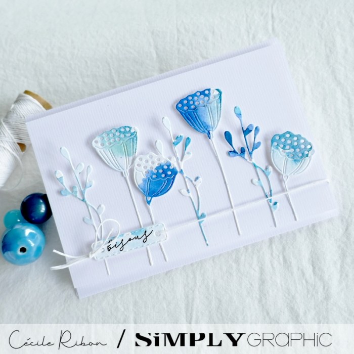 Carte SG14 - P1340262