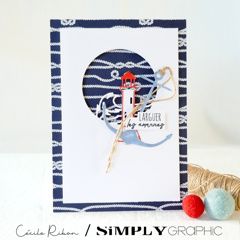 Carte SGx04 - P1340585