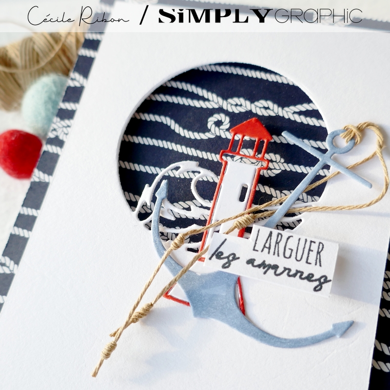 Carte SGx04 - P1340609