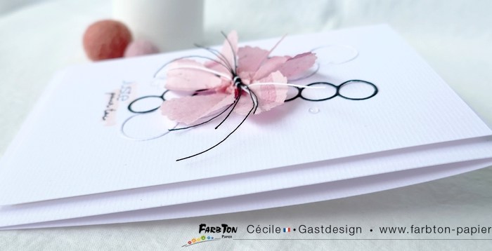 DT Farbton Papier : Avec les nouveaux papiers