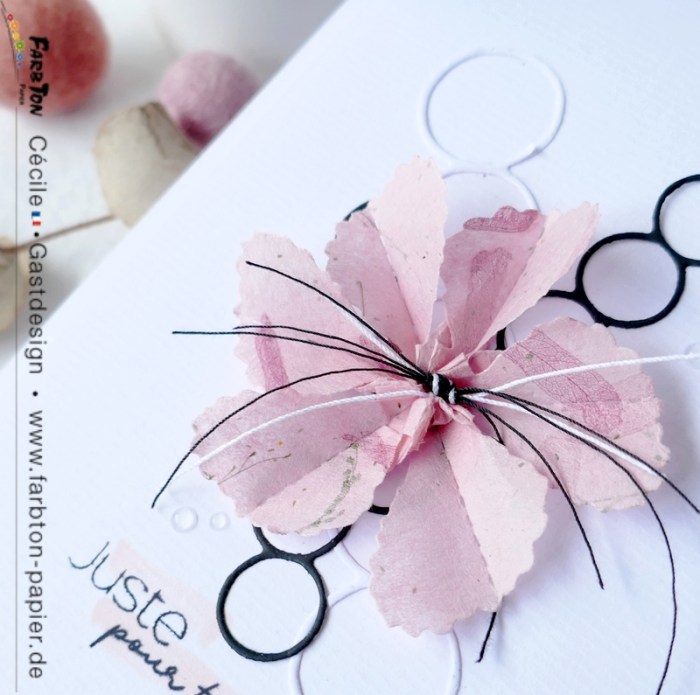 FarbtonP11 - P1340196