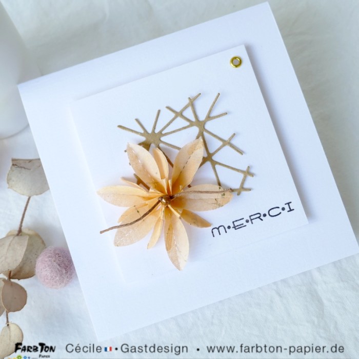 FarbtonP11 - P1340219