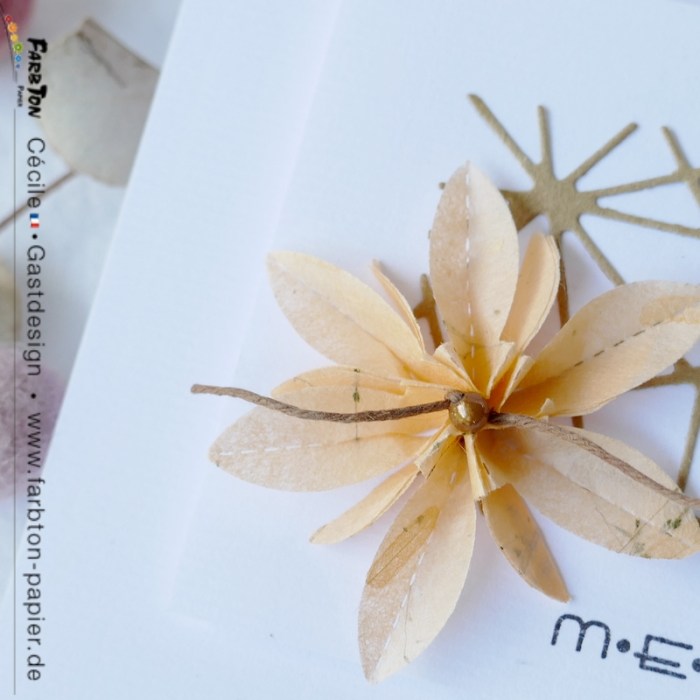 FarbtonP11 - P1340223