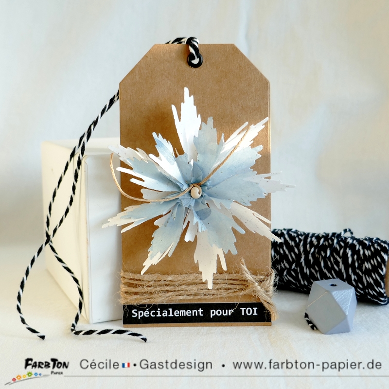 FarbtonP12 - P1340301