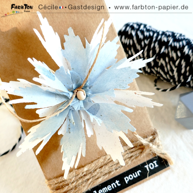 FarbtonP12 - P1340308