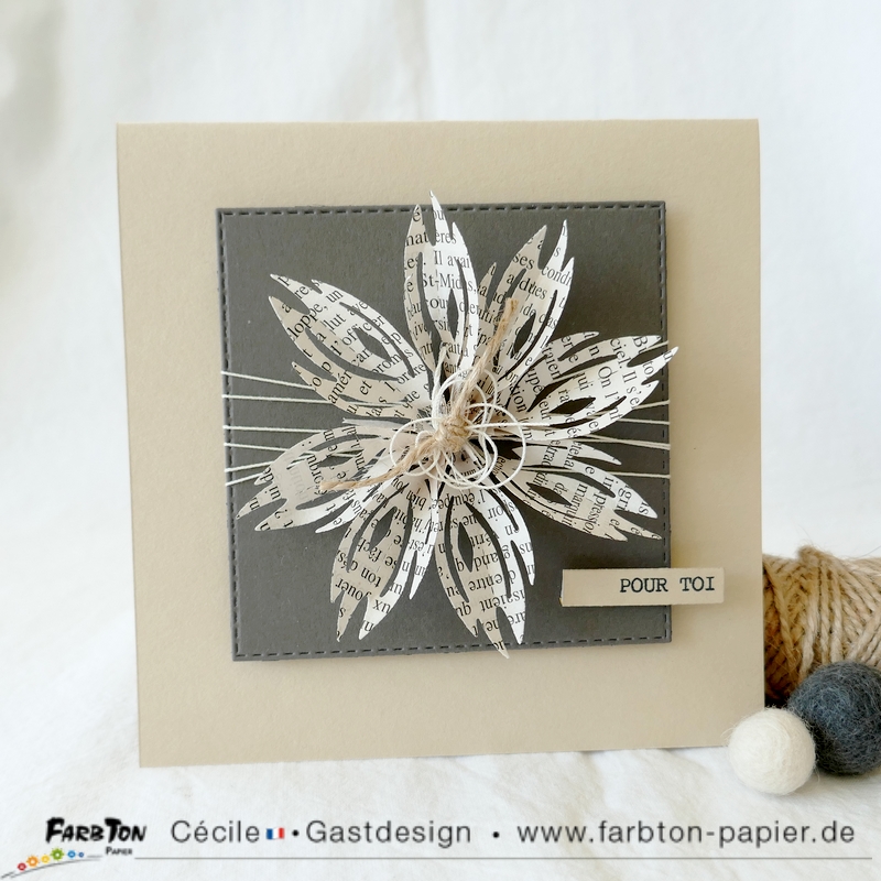 FarbtonP13 - P1340502