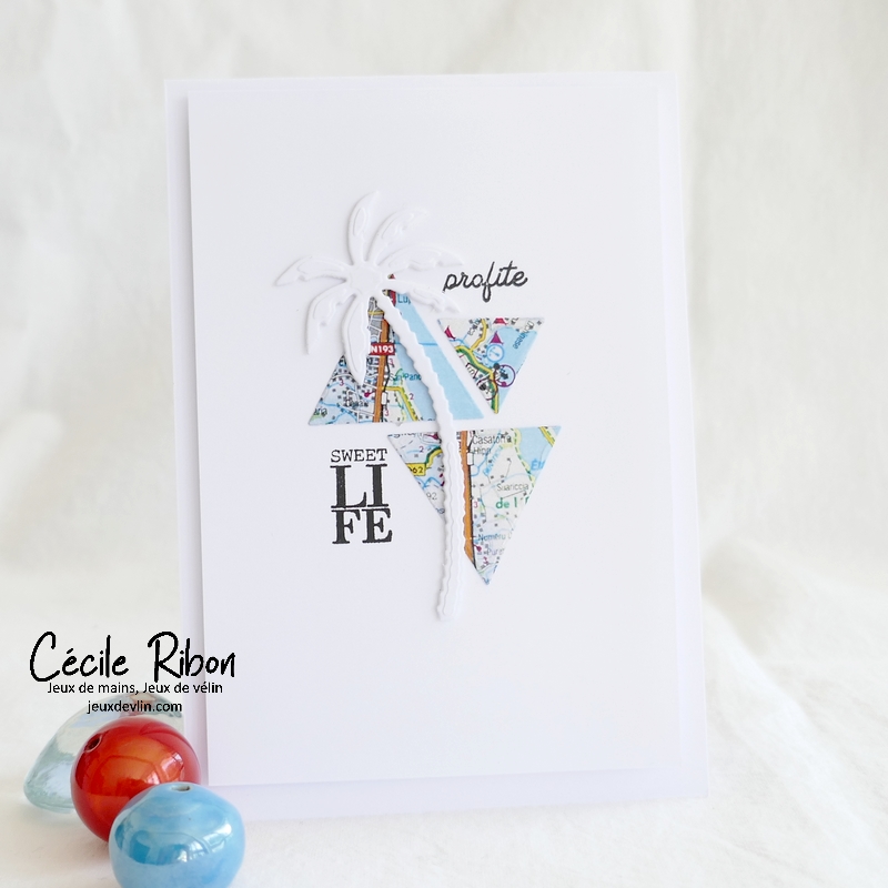 Carte CBBB Ete2022S5 - P1340833