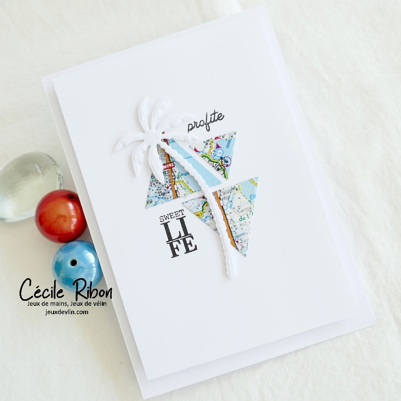 Carte CBBB Eté2022S5 - P1340837