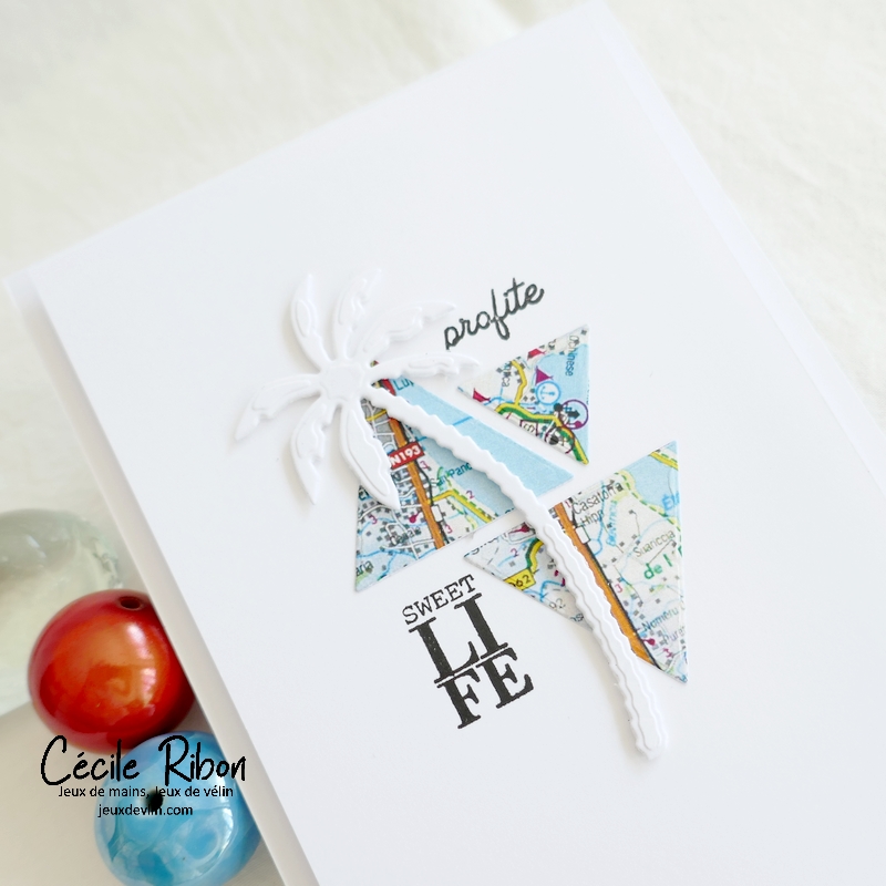 Carte CBBB Eté2022S5 - P1340845