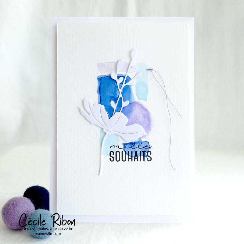 Carte CC&S481 - P1340856