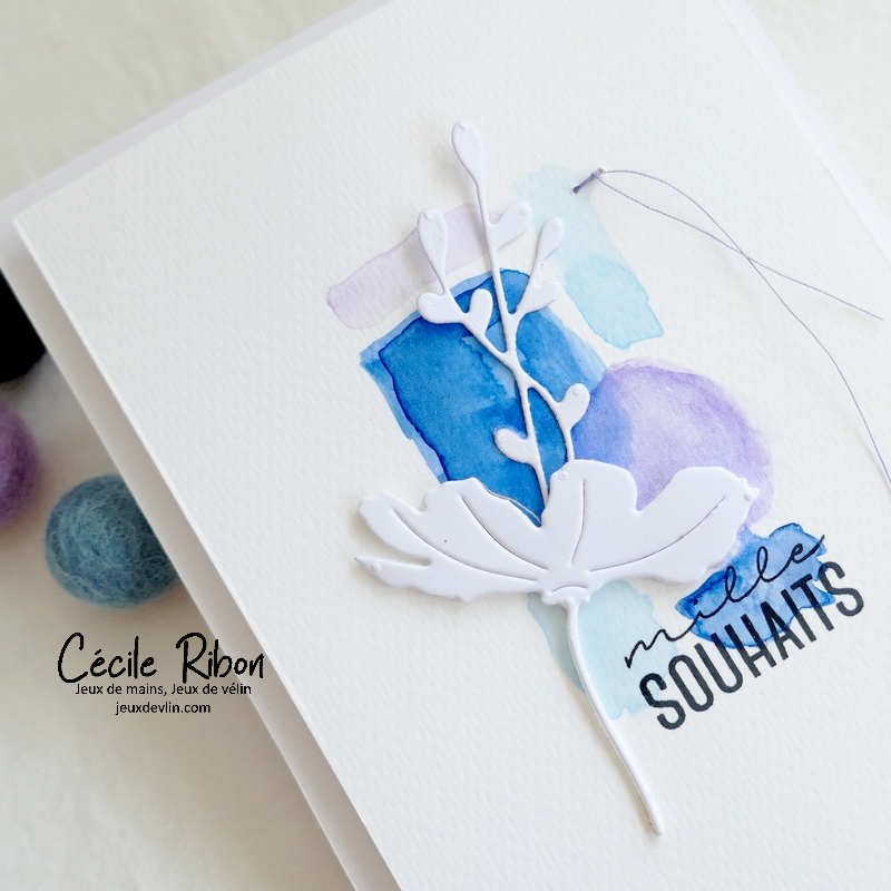 Carte CC&S481 - P1340866