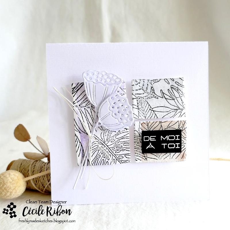 Carte FMS550 - P1350103