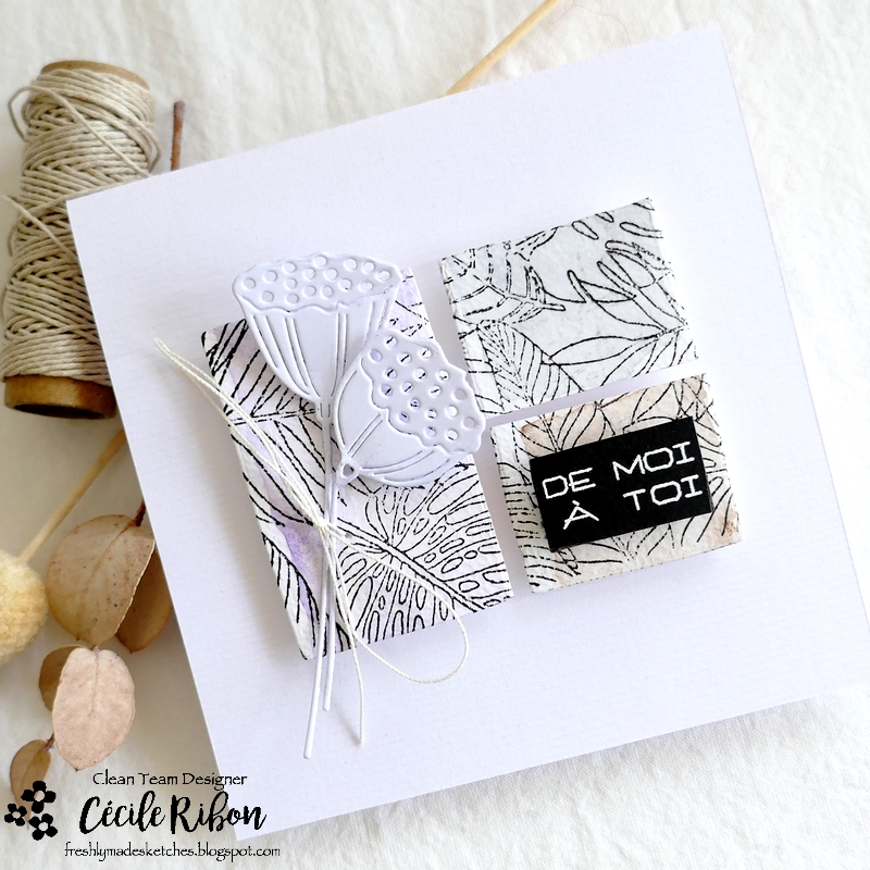 Carte FMS550 - P1350108