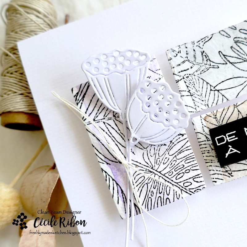 Carte FMS550 - P1350113